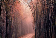 爱游戏体育-包含风云突变罗马窗口期强势反弹，意大利杯版图或变，赛场秩序良好，资深球员宣示担当的词条