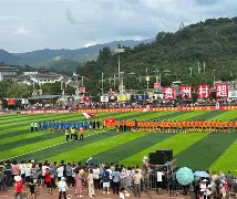  皖江黑豹队对阵关中鲸鲨队，UFC预选赛守住胜果，细节决定成败——外援联手发威